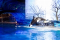 SeaWorld055