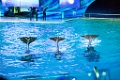 SeaWorld057