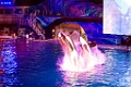 SeaWorld063