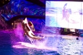 SeaWorld064