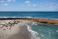 LaJolla029