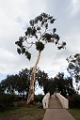 BalboaPark004