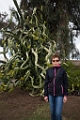 BalboaPark006