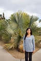 BalboaPark012