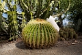 BalboaPark015