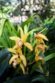 BalboaPark023
