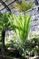 BalboaPark024