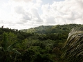 ZipLining001