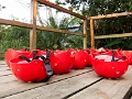 ZipLining002