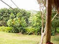 ZipLining015