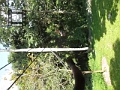 ZipLining017
