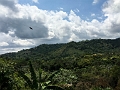 ZipLining021