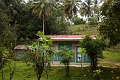 BavaroRunners010