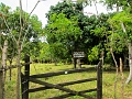 BavaroRunners016