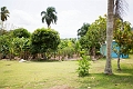 BavaroRunners058