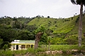 BavaroRunners065