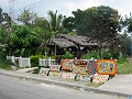 BavaroRunners080