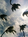 PuntaCana073