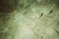 CatamaranCruise011