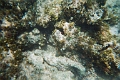 CatamaranCruise019