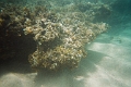 CatamaranCruise020