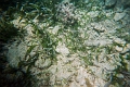 CatamaranCruise026