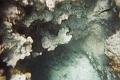 CatamaranCruise028