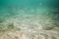 CatamaranCruise029