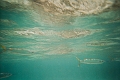 CatamaranCruise030