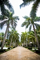 PuntaCana100