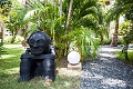 PuntaCana107