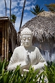 PuntaCana116