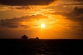 PuntaCana136