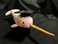 SusanMedGrad001
