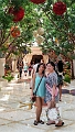 LasVegas009