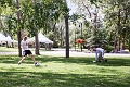 BBQ030