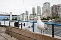 Vancouver068