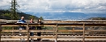 Kelowna063
