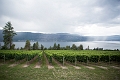 Kelowna068