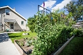 Peas003