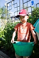 Peas015