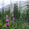 Hiking002