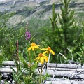 Hiking003