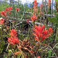 Hiking005