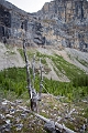 Hiking022