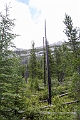 Hiking025