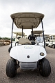 Golf002