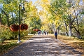 Autumn001