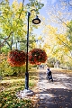 Autumn002