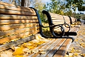 Autumn005